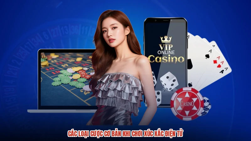 Các loại cược cơ bản khi chơi xúc xắc điện tử