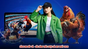 Cách Om Bóp Gà - Các Hình Thức Cược Gà Hot Nhất 2026
