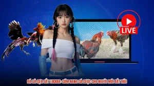 Đá Gà Cựa Sắt LUCK88: Cẩm Nang Cá Cược Cho Người Mới Bắt Đầu