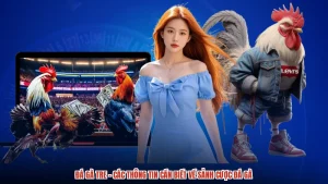 Đá Gà Tre - Các Thông Tin Cần Biết Về Sảnh Cược Đá Gà