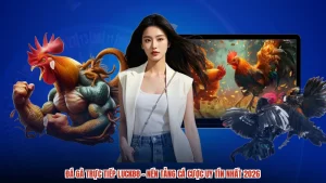 Đá Gà Trực Tiếp LUCK88 - Nền Tảng Cá Cược Uy Tín Nhất 2026