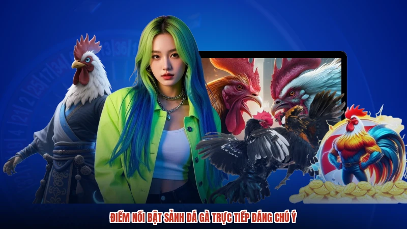 Điểm nổi bật sảnh đá gà trực tiếp đáng chú ý