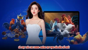 Gà Chọi Thái Lan LUCK88: Những Quy Định Cần Nắm Rõ Nhất