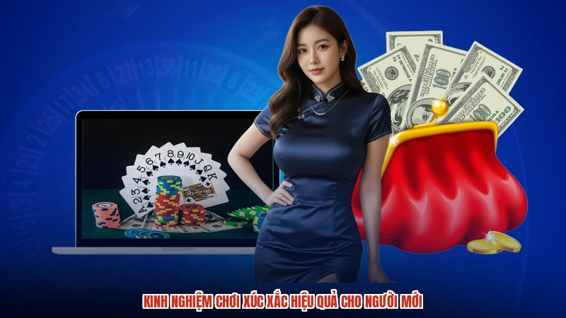 Kinh nghiệm chơi xúc xắc hiệu quả cho người mới