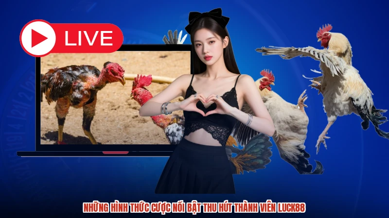 Những hình thức cược nổi bật thu hút thành viên LUCK88