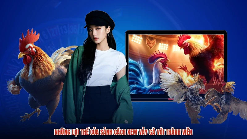 Những lợi thế của sảnh cách xem vảy gà với thành viên