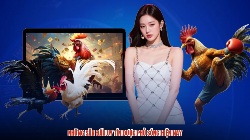 Những sân đấu uy tín được phủ sóng hiện nay