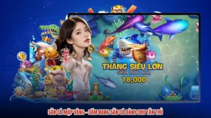 Săn Cá Mập Vàng - Cẩm Nang Săn Cá Dành Cho Tân Thủ