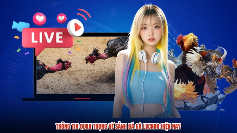 Thông tin quan trọng về sảnh đá gà LUCK88 hiện nay