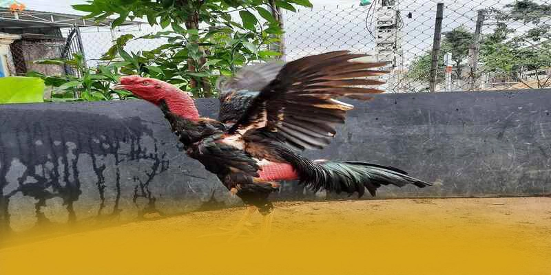 Bảo mật dữ liệu cá nhân tại GOOD88 Bảo mật dữ liệu cá nhân tại GOOD88