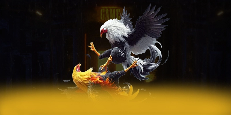 Nhận xét từ cộng đồng người chơi về BET168 Nhận xét từ cộng đồng người chơi về BET168