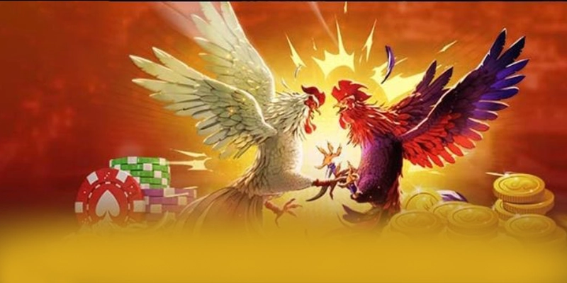 So sánh của 8XBET trên thị trường So sánh của 8XBET trên thị trường